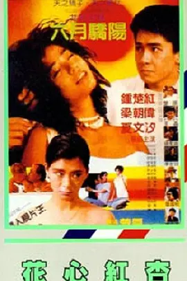 很美的小姨子
